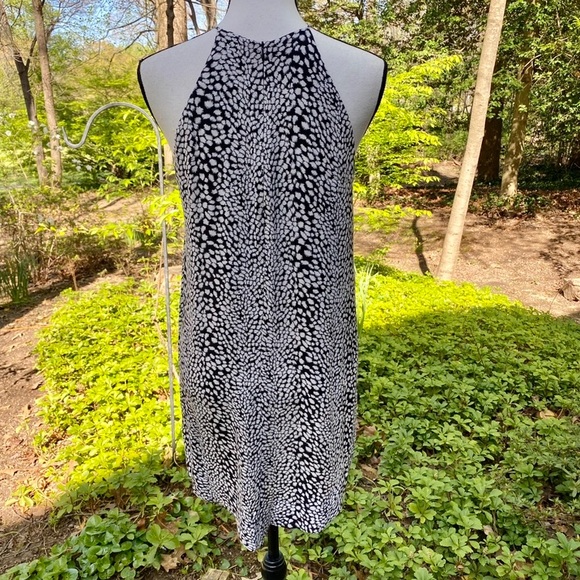 🌺 ZIMMERMAN 🌺 2 Zimmerman =US 4-6 NWOT 🌺Beautiful black & White pattern 🌺 - Picture 9 of 16